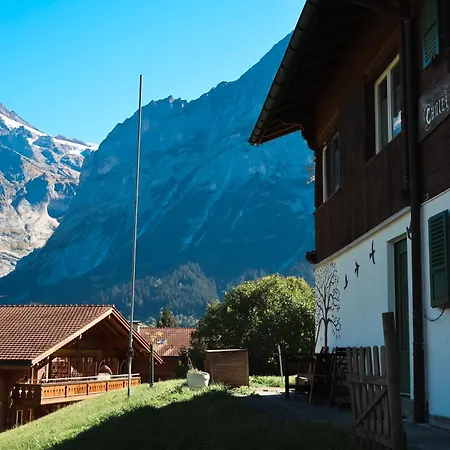 Lilalama