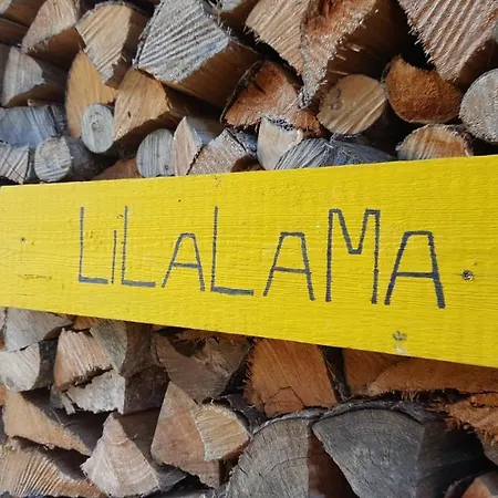Lilalama Grindelwald