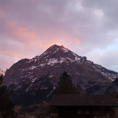 Lilalama * Grindelwald