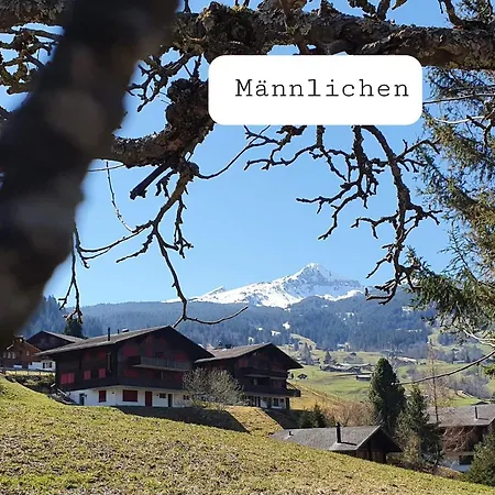 Appartamento Lilalama *