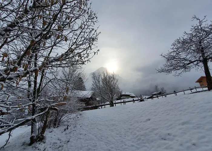 Lilalama Apartamento Grindelwald