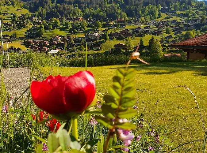 Lilalama Apartman Grindelwald