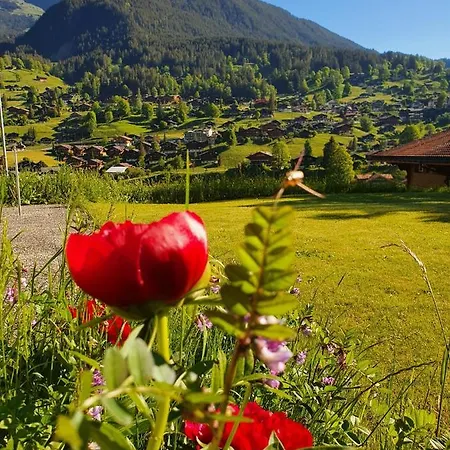 Lilalama Lägenhet Grindelwald