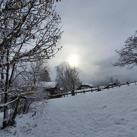 Lilalama Apartament Grindelwald